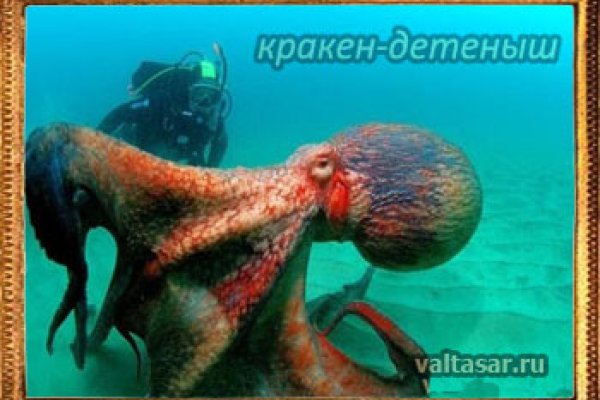 Зарегистрироваться на сайте кракен