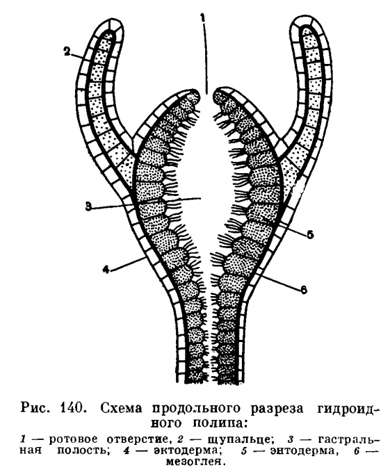 Кракен даркнет стор